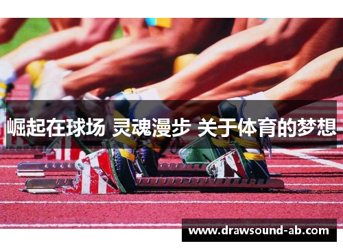 崛起在球场 灵魂漫步 关于体育的梦想
